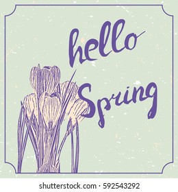 Hello spring hand drawn lettering with crocus flowers. Vintage grunge marriage design template, floral artwork. Vector illustration of concept for invitation, card, ticket, label, banner