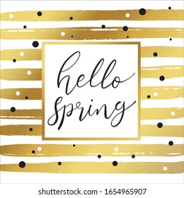 Hello Spring hand drawn sketched Lettering spring season in square gold frame with hand drawn brushed golden stripe pattern with polka dot pattern background for greeting card vector 