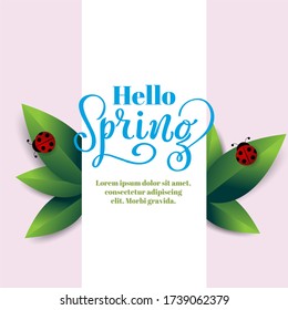 Hola Texto de primavera dibujado a mano con hojas verdes y cartel de la señora insecto para la venta estacional, promoción del 8 de marzo, anuncio, ilustración botánica, promoción de tienda orgánica, invitación de boda, logotipo o icono