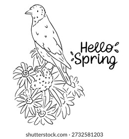 Hello Spring Hand Lettering With Cute Bird On Flower, Floral Seasonal Illustration For Cards And Prints
