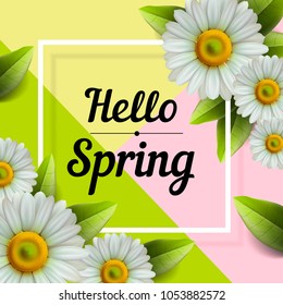 Hello Spring hand Lettering with daisy flower, vector illustration.