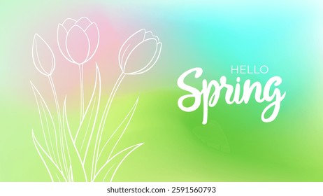 Hello Spring. Hand lettering and spring tulips for Springtime season greetings and and invitations. White outline. Blurred background. Vector illustration.