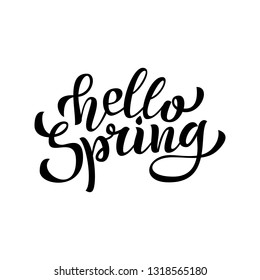 Hello Spring hand Lettering. Vector.