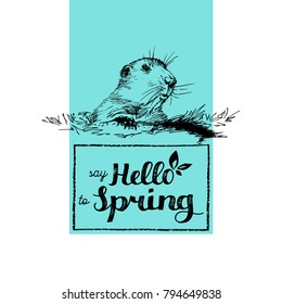 Hello Spring hand lettering. Vector Groundhog Day sketched illustration  February 2 greeting card, poster etc.