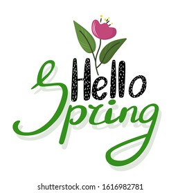 Hello spring hand sketched lettering with purple flower for greeting card, invitation template