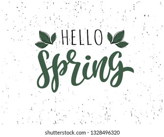 Hello Spring hand sketched logotype, badge typography icon. Lettering spring season with leaf for greeting card, invitation template. Retro, vintage lettering banner poster template background - Vecto