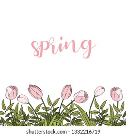 Hello Spring hand sketched logotype, badge typography icon. Lettering spring season with leaf for greeting card, invitation template. Retro vintage lettering banner poster template background. tulips.
