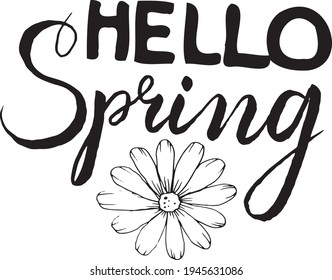 Hello Spring hand sketched logotype, badge typography icon. Lettering spring season for greeting card, invitation template. Retro, vintage lettering banner poster template background