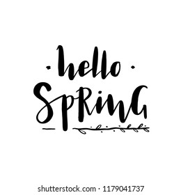 Hello Spring. Hand written lettering typography. Modern ink calligraphy. Hand drawn ethnic vector illustration with spring branch as poster, postcard, card, invitation template, logo, badge. 