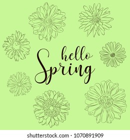 Hello Spring! Handdraw flower Vector illustration on green background