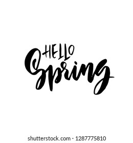 Hello Spring. Handdrawn modern brushpen lettering. Vector illustration.