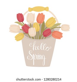 Hello Spring handlettering on the bucket of tulips. Spring concept. Cartoon handdrawn style. Vector illustration. 