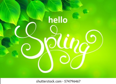 Hello spring handwritten calligraphy lettering on green leaves background. Vector illustration.