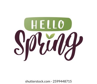 Hello Spring handwritten lettering isolated on white