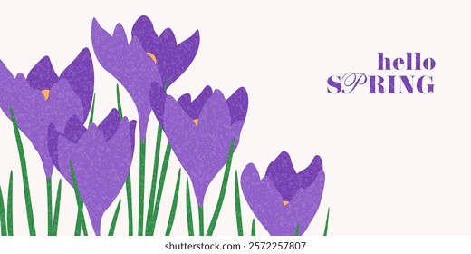 Hello Spring horizontal banner. Vector horizontal card for decoration spring events, Mother's Day, Easter. Beautiful spring background with crocuses. Concept of trendy spring cover with brigth flowers