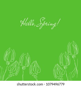 Hello spring illustration. Hand drawn minimal white tulips in lines isolated on green background. 