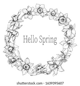 Hello Spring. Inscription. Spring wreath of daffodil flowers. Black outline, graphics on a white background. Design element for greeting cards, banners, napkins.