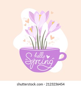 Hello Spring lettering. Beautiful tender crocus bouquet in a cup. Design for poster, postcard, banner. Hand drawn vector illustration.