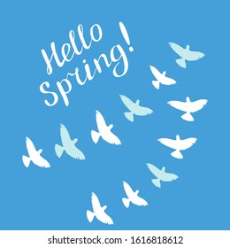 Hello spring! lettering and birds. Handwritten vector Illustration.
