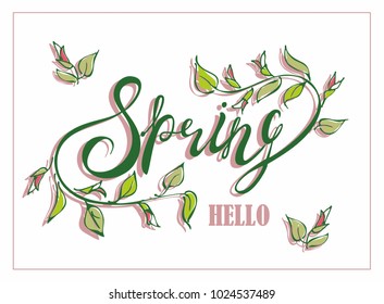Hello Spring. Lettering. The composition of the text and flowers. For the design cards. Vector illustration.