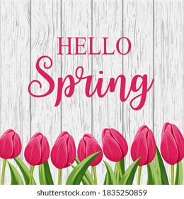 Hello spring lettering and flowers background. Tulips with leaves on wooden plank background floral decoration. Nature blossom design vector illustration
