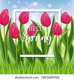 Hola grabado de primavera en el fondo del marco y tulipanes. Plantas de flores con hojas de decoración floral. Ilustración vectorial del diseño de la flor de la naturaleza