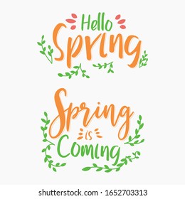 Hello spring lettering greeting card with daisies and spring is coming typography vector illustration. 