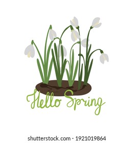 saludo gotas de nieve dibujadas a mano con membrete de primavera