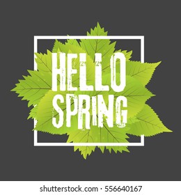 resorte de Adiós. Letras con letras dibujadas a mano. Plantilla de etiqueta y banner con hojas verdes con ilustración vectorial de marco.Fondo negro.
