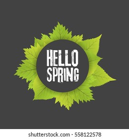 Hello spring. Lettering with hand drawn letters. Label and banner template with green leaves with frame vector illustration. Black background