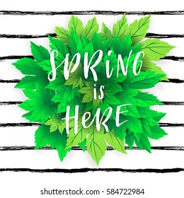 Hello spring. Lettering with hand drawn letters. Label and banner template with bright fresh green leaves with frame vector illustration. Gradient background.