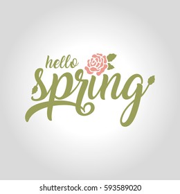 hello spring lettering, handwritten and calligraphy vector illustration