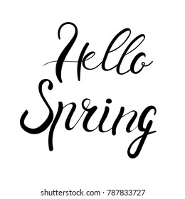 Hello spring lettering isolated on white hand written vector type. Calligraphy