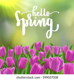hello spring lettering with modern calligraphy on pink tulip, green bokeh and sun rays background.Template for spring greeting card, banner and poster in vector illustration.