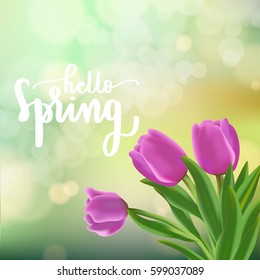 hello spring lettering with modern calligraphy on pink tulip, green bokeh and sun rays background.Template for spring greeting card, banner and poster in vector illustration.