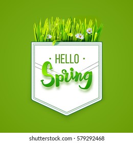 Hello Spring lettering on pocket with green grass isolated on green background. Spring background. Design for banners, greeting cards, spring sales. Vector illustration