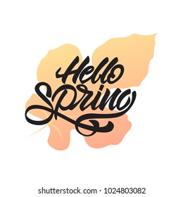 Hello spring lettering on yellow leaf . Spring lettering. Vector illustration for your design .