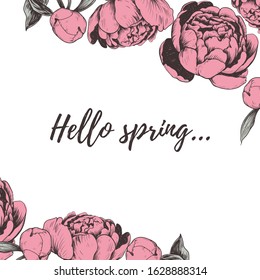 Hello spring lettering Peony vector illustration. Peonies hand drawing. Peony sketch greeting card