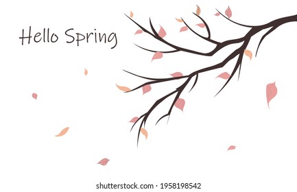 Hello Spring Lettering spring season with leaf for greeting card and banner poster template background