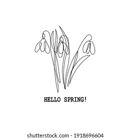 Hello Spring lettering with snowdrop flowers. Lettering spring season with snowdrops  for greeting card, invitation template
