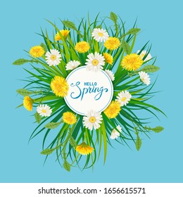 Hello Spring lettering template background with flowers bouquet dandelions and daisies, chamomiles, grass. Vector illustration. Fresh design for posters, flyers, greeting card, invitation