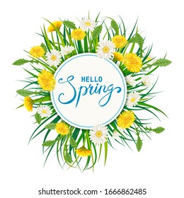 Hello Spring lettering template background with flowers bouquet dandelions and daisies, chamomiles, grass. Vector illustration. Fresh design for posters, flyers, greeting card, invitation