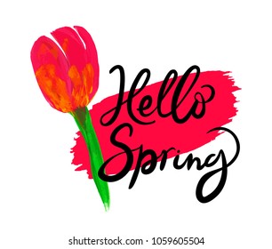 Hello Spring lettering and watercolor tulip. Sketch of  greeting card for spring decoration, love  and wedding. Vector illustration design template.