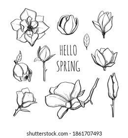 Hello Spring. Magnolia flower set. Vector hand drawn botanical illustration