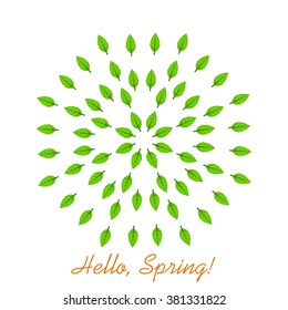  Hello spring. Mandala of leaves. Vector illustration. Design element with green leaves.