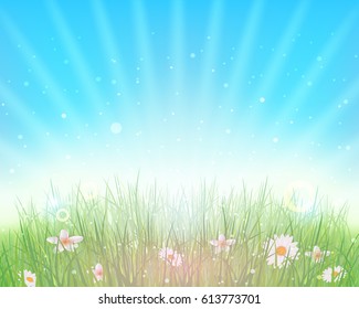 Hello Spring Nature Landscape Illustration