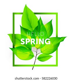 Hello Spring on with fresh green leaves. Vector illustration.EPS10
