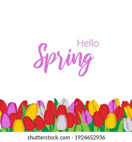 Hola primavera. Patrón de primavera con tulipanes florales sin soldadura. Ilustración vectorial en estilo plano.