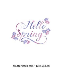 hello spring phrase with blue and pink flowers. handwritten calligraphic slogan. design element for greeting card, banner, invitation, vignette, flyer. vector illustration. text calligraphic element