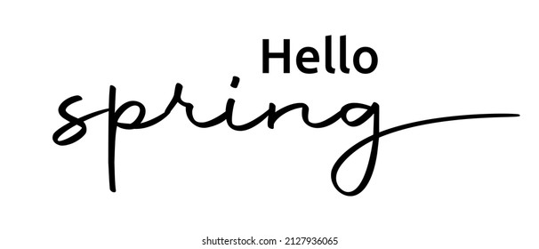 Hello Spring phrase cute continuous one line calligraphy with white Background